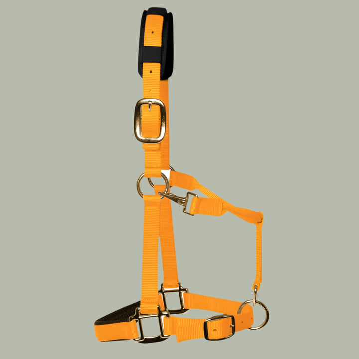 Headcollars